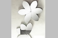 Pacini&Cappellini Art.5529 123 Pacini&Cappellini Art.5529